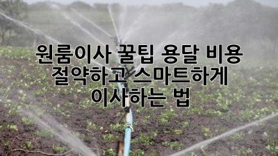 원룸이사 꿀팁🍯 용달 비용 절약하고 스마트하게 이사하는 법!