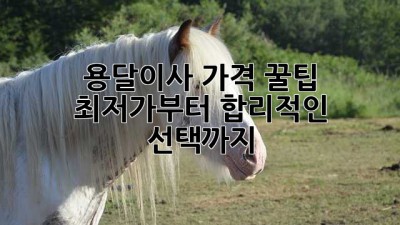용달이사 가격 꿀팁🍯: 최저가부터 합리적인 선택까지!