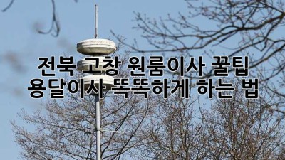전북 고창 원룸이사 꿀팁🍯 용달이사 똑똑하게 하는 법!