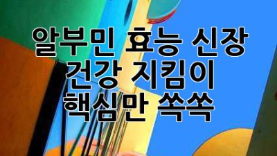 알부민 효능, 신장 건강 지킴이? 🤔 핵심만 쏙쏙!